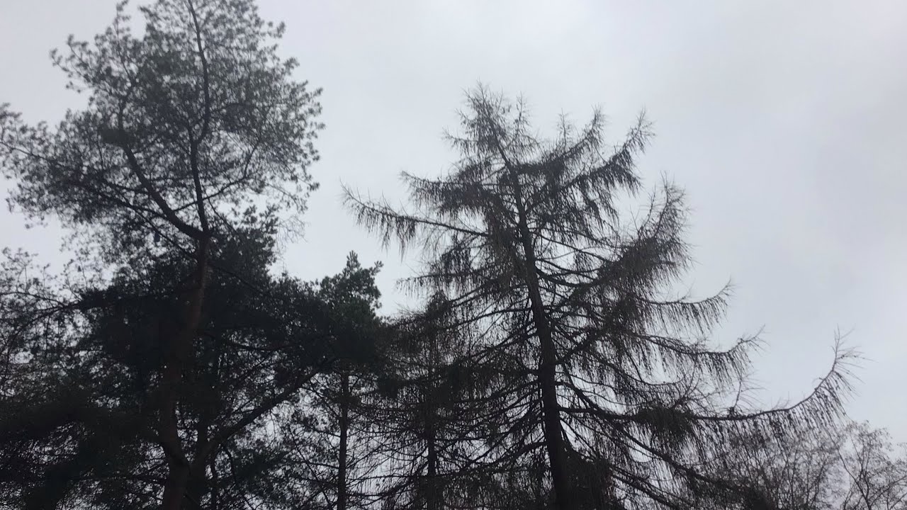 Relaxing spooky frozen mountain ambient 