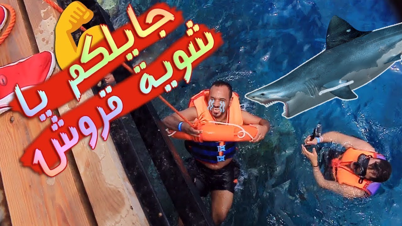 فلوج شرم الشيخ 2018 - احمد الجرنوسي