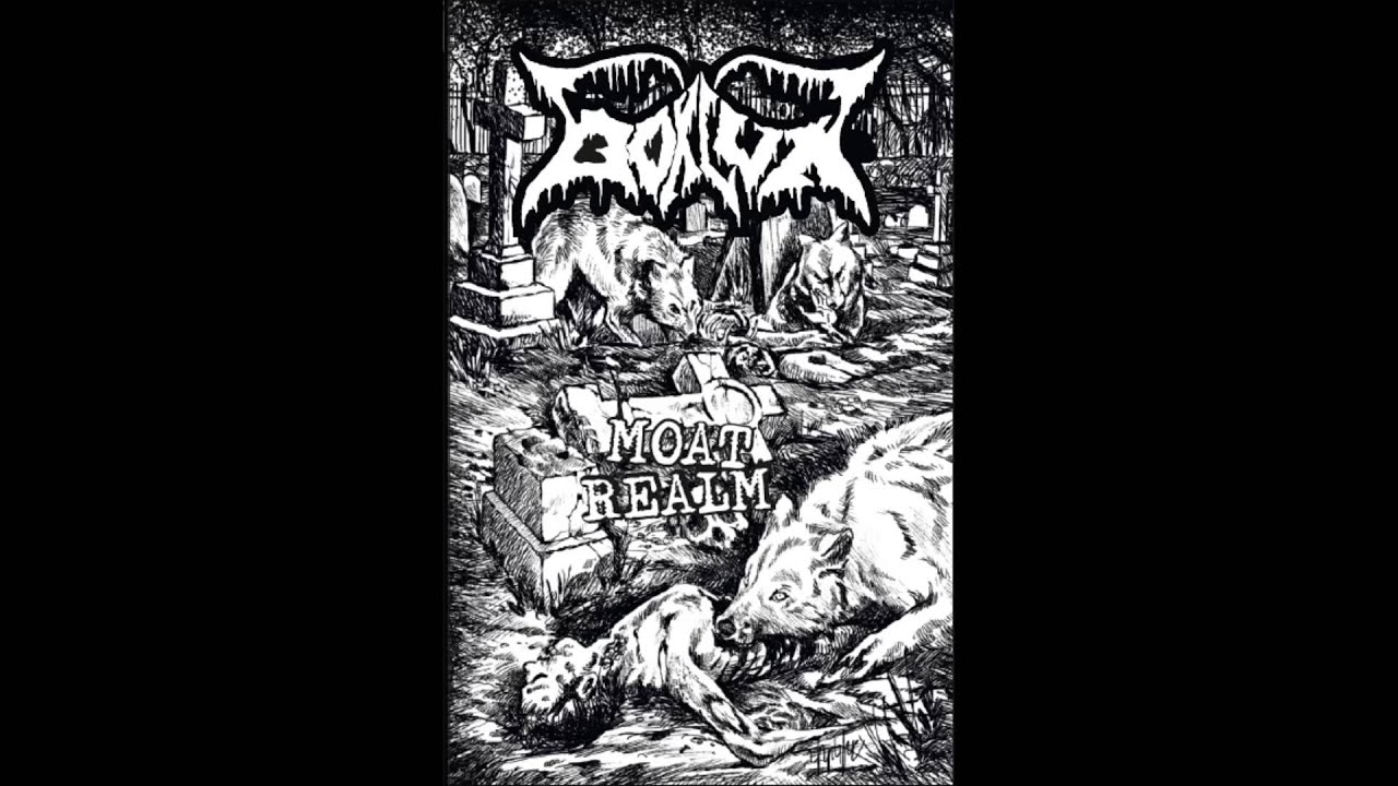 Bokluk -  Reek