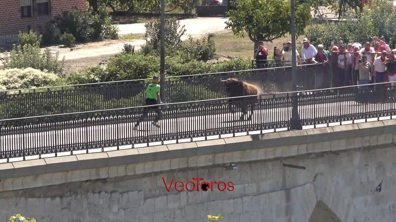 Toro de cajon Tordesillas 2024 domingo 15