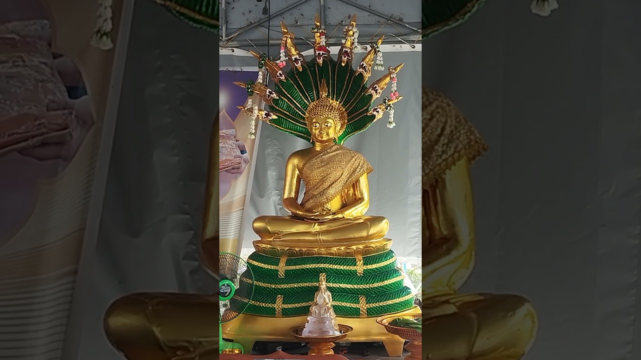 #พระนาคปรก #สาธุ #ไหว้พระ #สมาธิ #พญานาค #พญานาค4ตระกูล