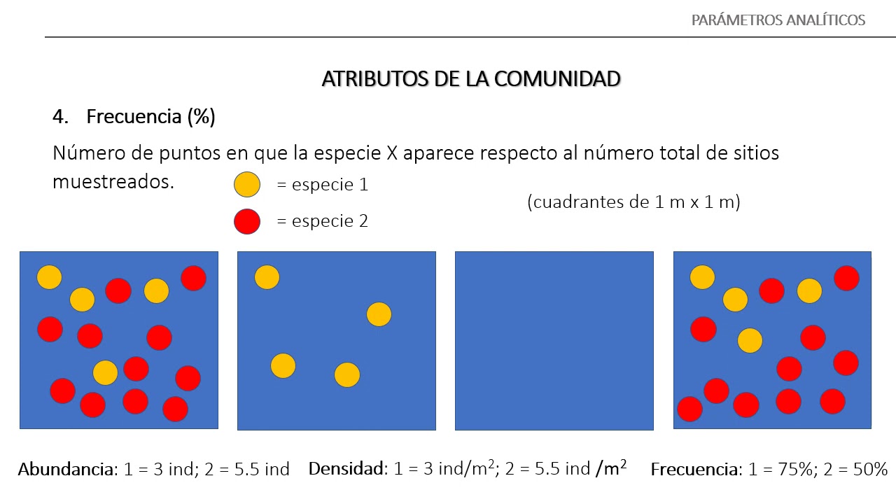 Unidad 4 4 Atributos de la comunidad