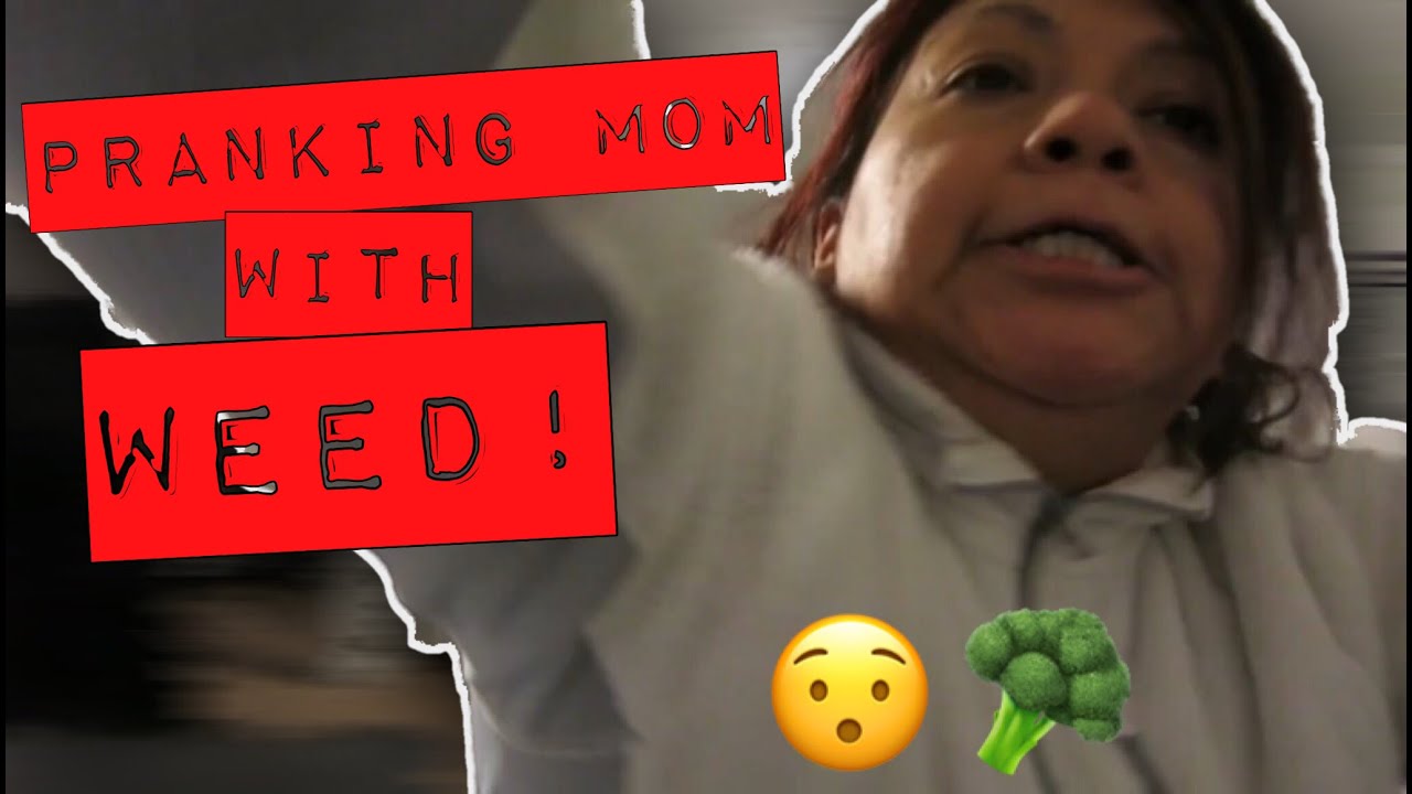 MEXICAN MOM FREAKS OUT OVER (FAKE) WEED!