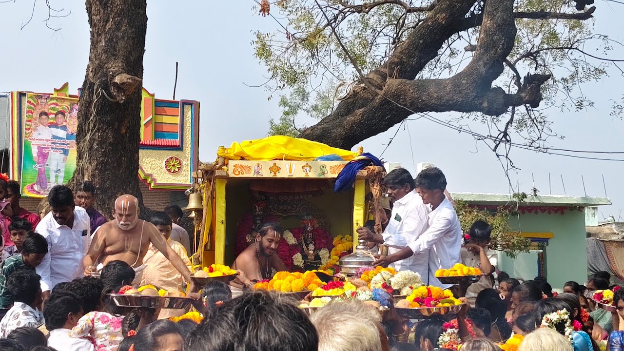 Paruveta Utsavam Day 8| Alamuru Village (22.01.2026)