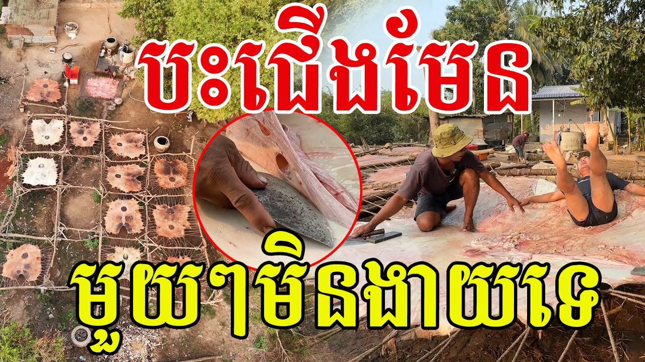 បះជើងមែន ទម្រាំបានមួយៗមិនងាយទេ ធ្វើមិនស្រួល ចោលទាំងអស់