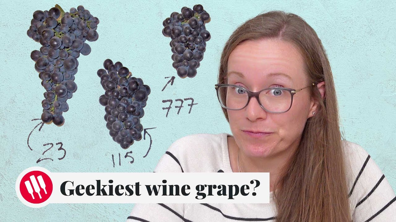 Learn by Tasting (ep. 30) Wine Folly