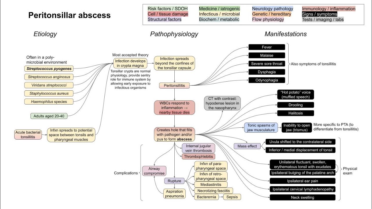Peritonsillar abscess (mechanism of disease)