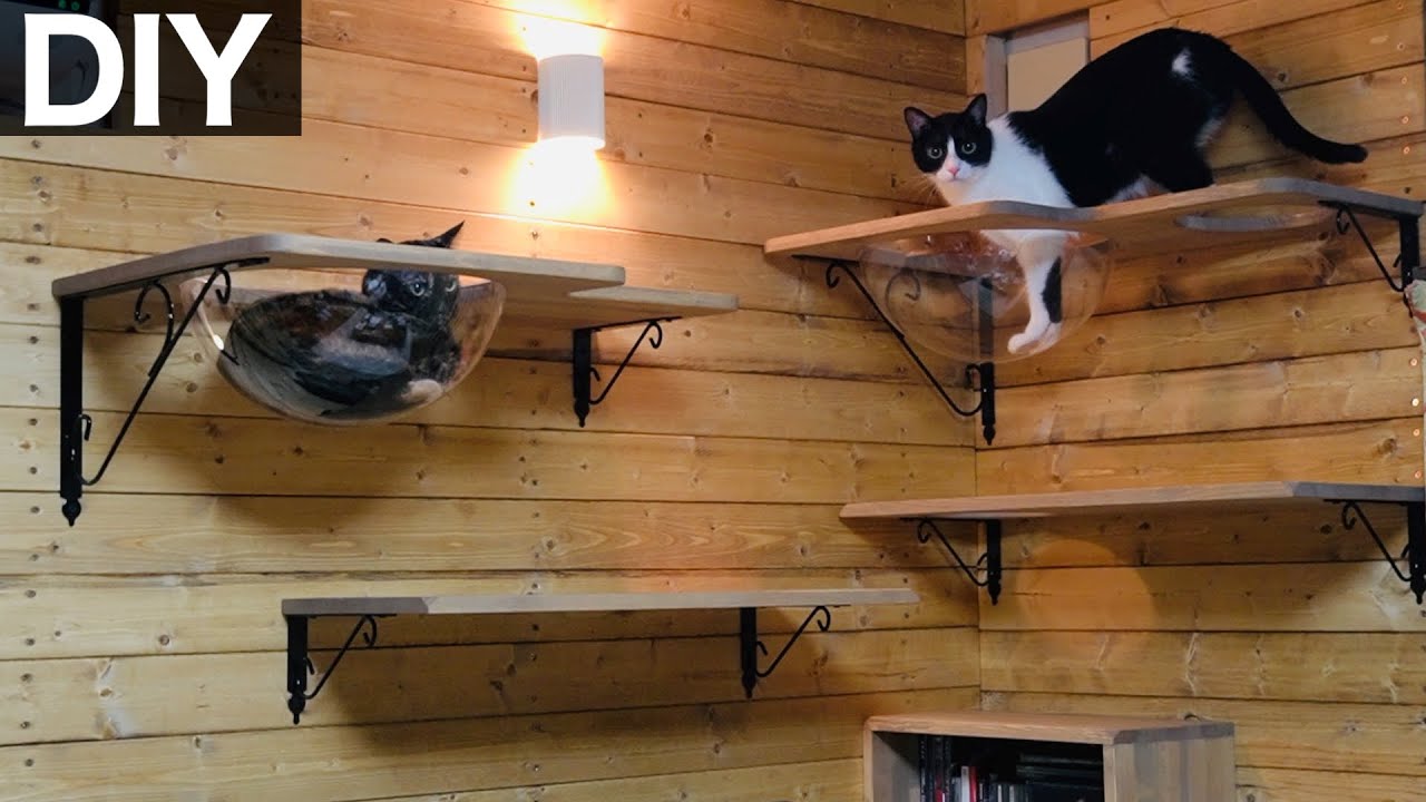 【猫カフェ風】壁一面にキャットウォークを作る