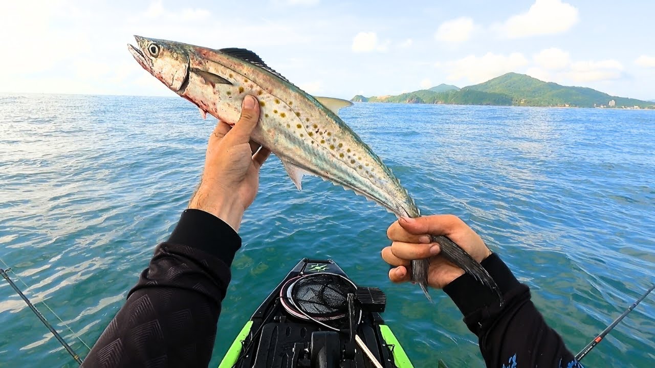 PESCARIA DE CORRICO EM ALTO MAR | CAIAQUE