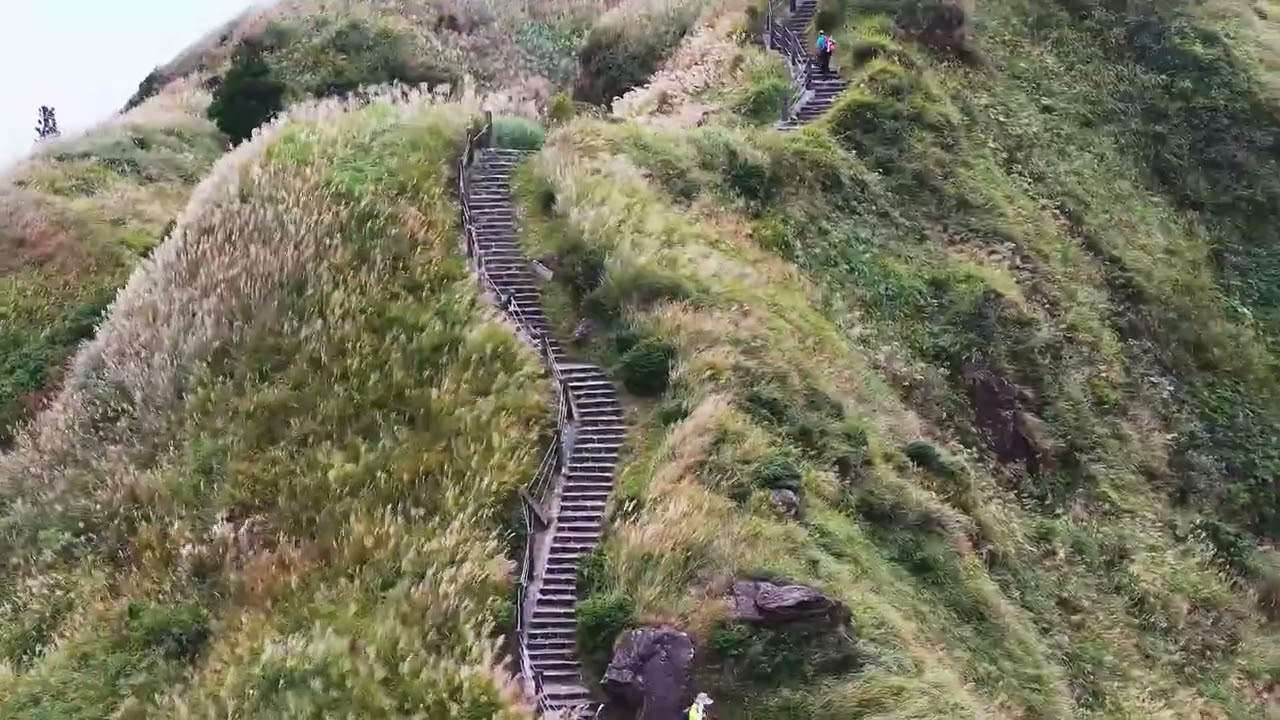 陽明山冷水坑/七星山芒草季