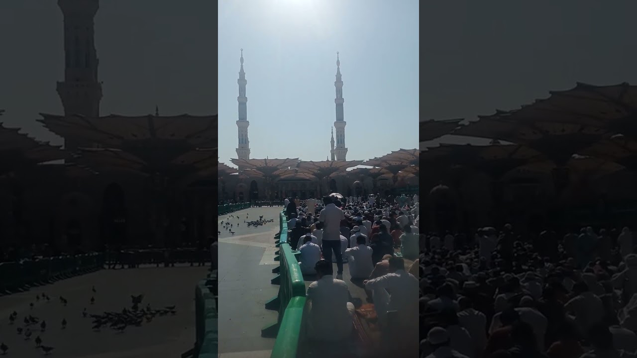 ٢٨ نوفمبر ٢٠٢٥