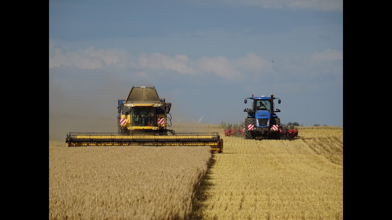 Cette ferme sème son maïs pendant la moisson avec un T9.450 !!! / Seine et Marne / #1