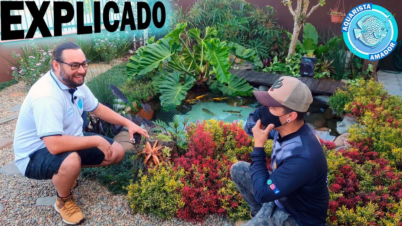 Meu NOVO JARDIM com LAGO ORNAMENTAL - 10 meses de evolução!!