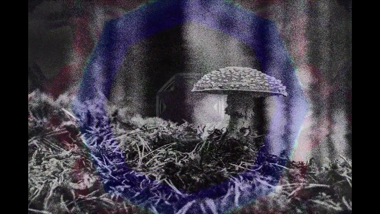 mohm - hATS No.2