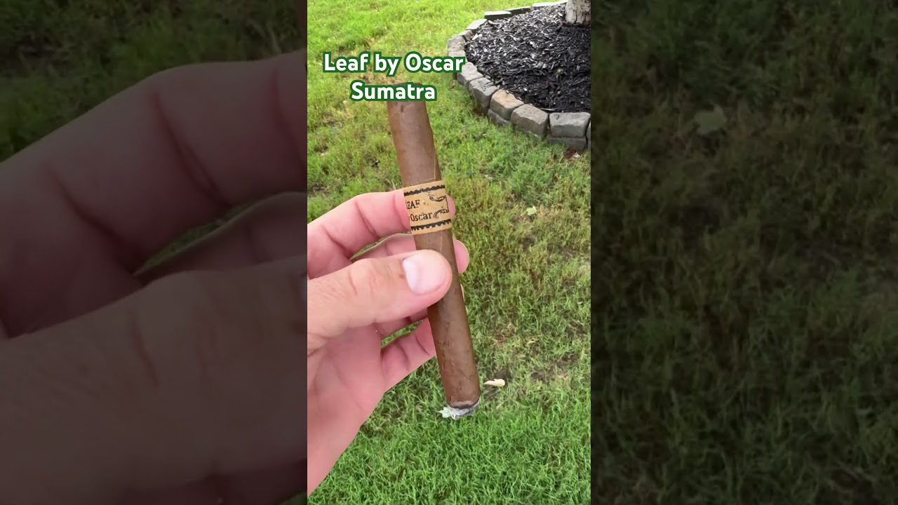 Cigar Review | The Leaf by Oscar Sumatra Lancero #cigarsociety #cigarlife