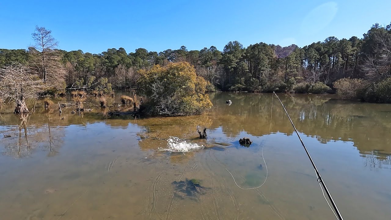 Arguably the hardest freshwater fish to catch in the WORLD lives here...