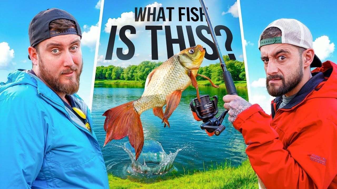 Head-to-Head Species Showdown: What Even is This FISH!?