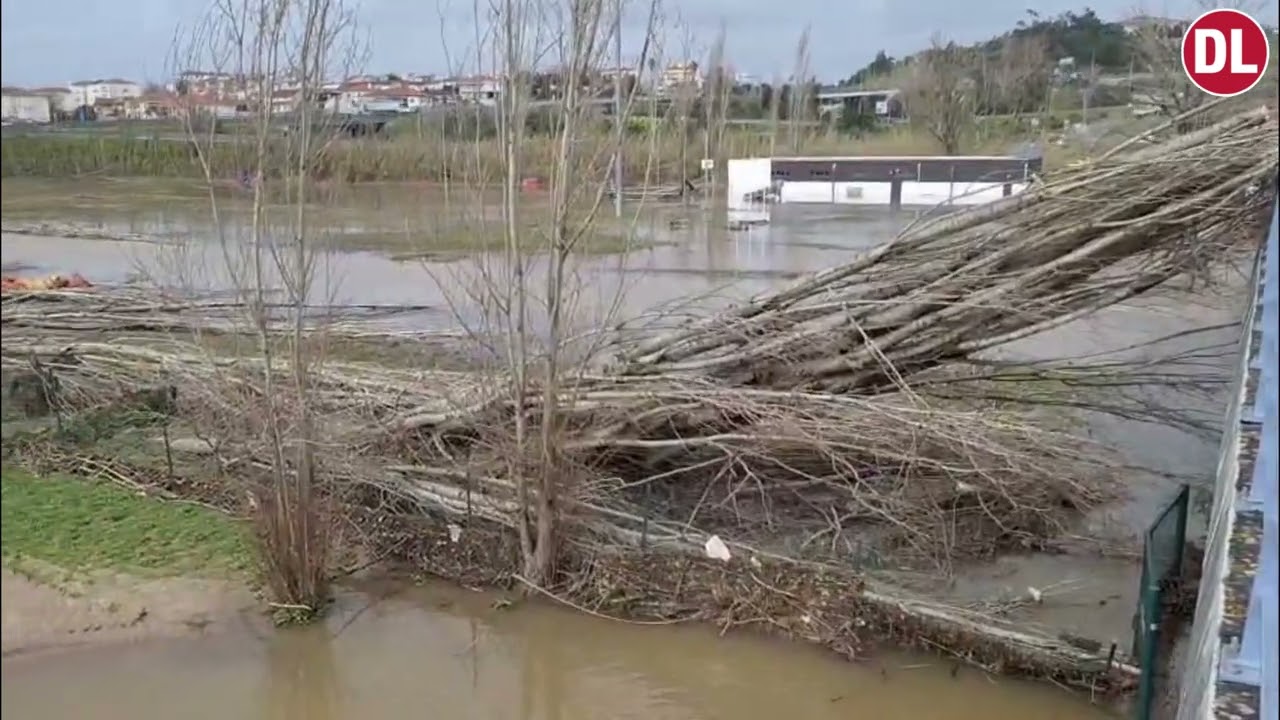 Cheias deixam rasto de destruição em Leiria