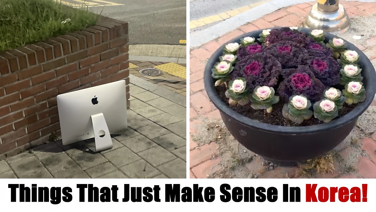 Cool Things In South Korea That Just Make Perfect Sense