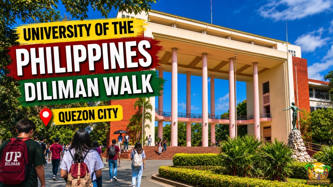University of the Philippines Diliman Walk | Quezon City Walking Tour in 4K