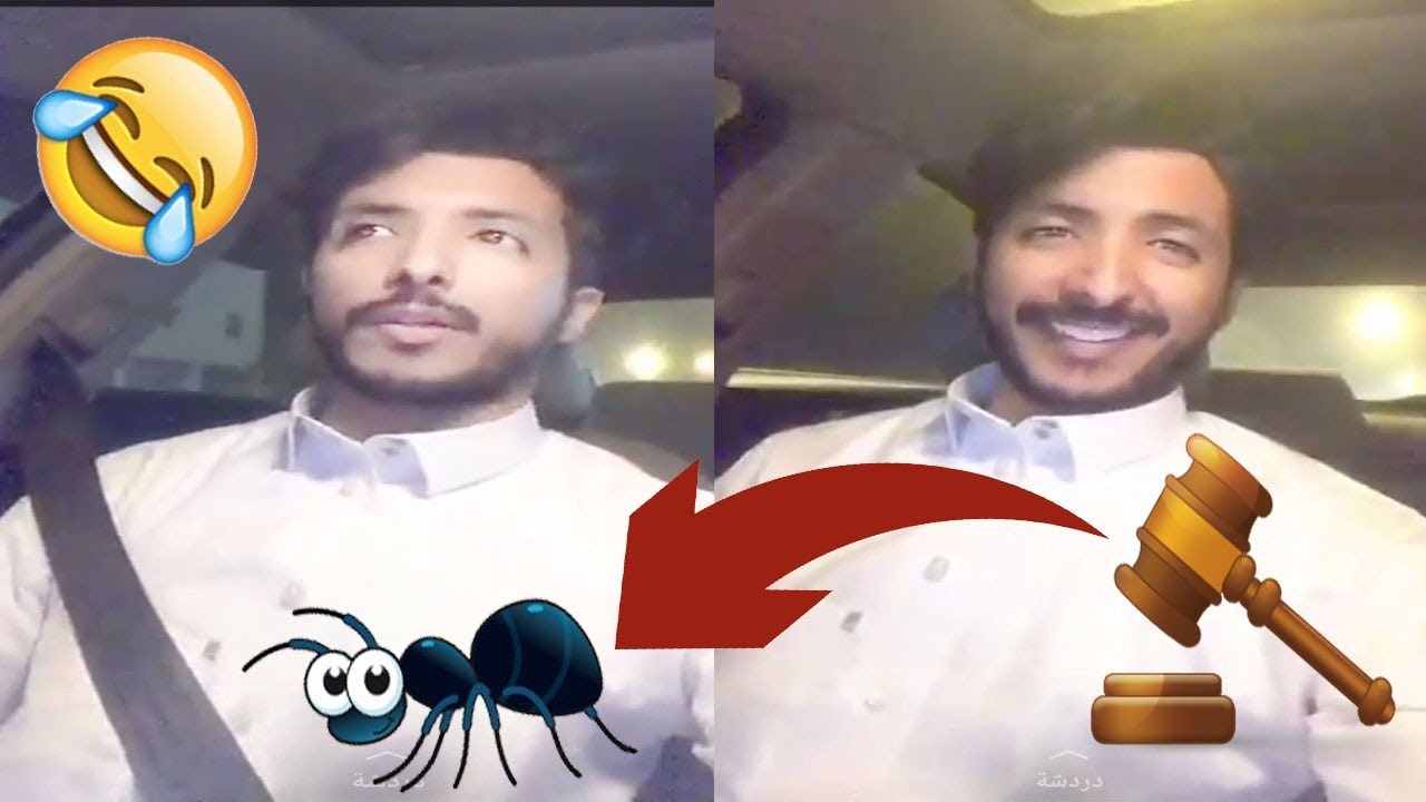 شخص رافع دعوى بسبب نملة  !!! ... سنابات سعد السبيعي لا يفوتكم