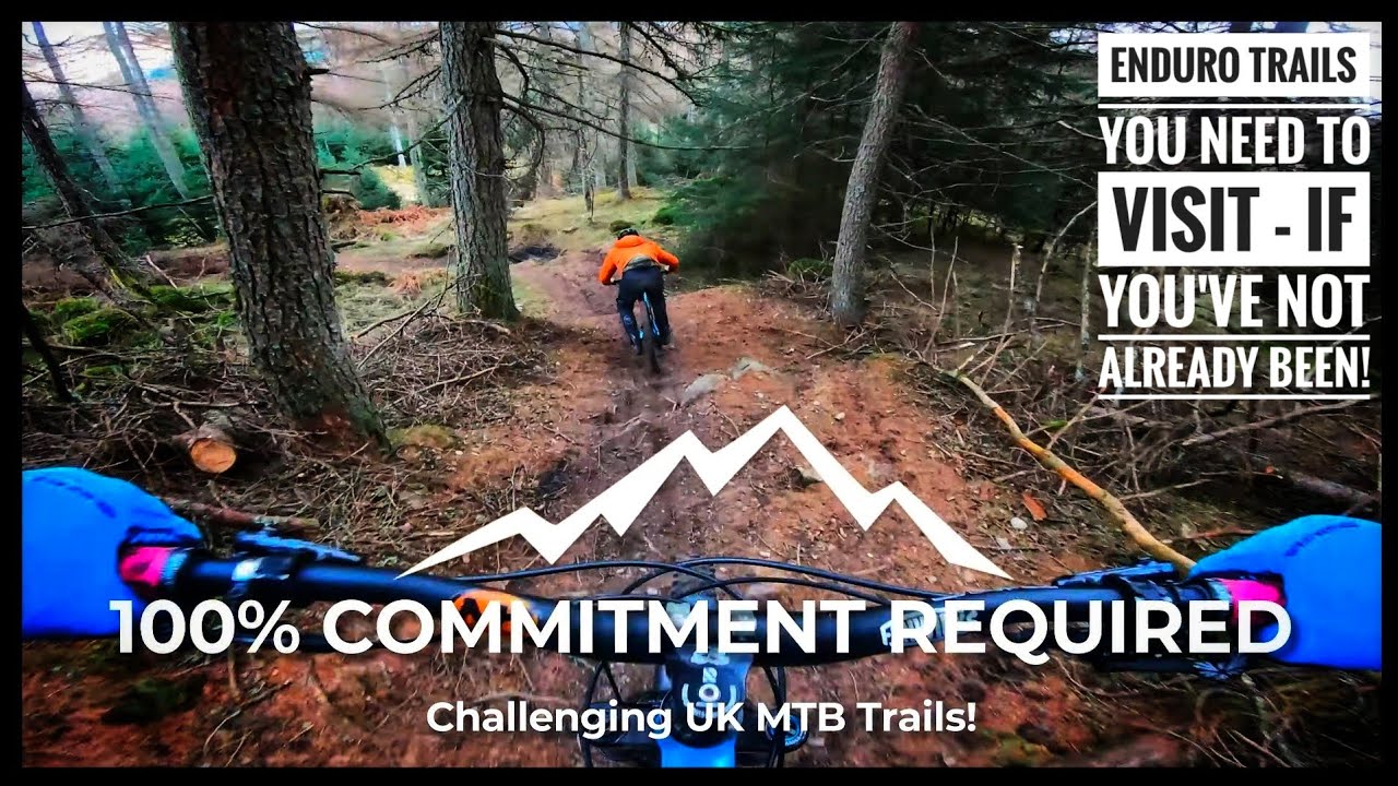 Катался хорошо, пока всё не пошло не так! Dunkeld MTB Trails с @McTrailRider