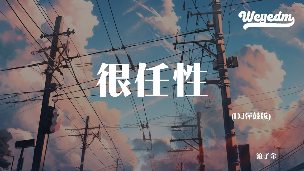 浪子金 - 很任性 (DJ弹鼓版)「一个人的拥抱能转移给几个 简单温暖胜过一万次的承诺」【動態歌詞/pīn yīn gē cí】#浪子金 #很任性 #動態歌詞