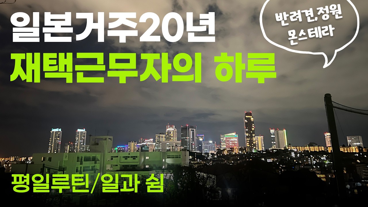 일본사는 한국인Vlog | 어느 겨울날의 일본주택과 정원 | 일본거주 20년차 재택근무생활