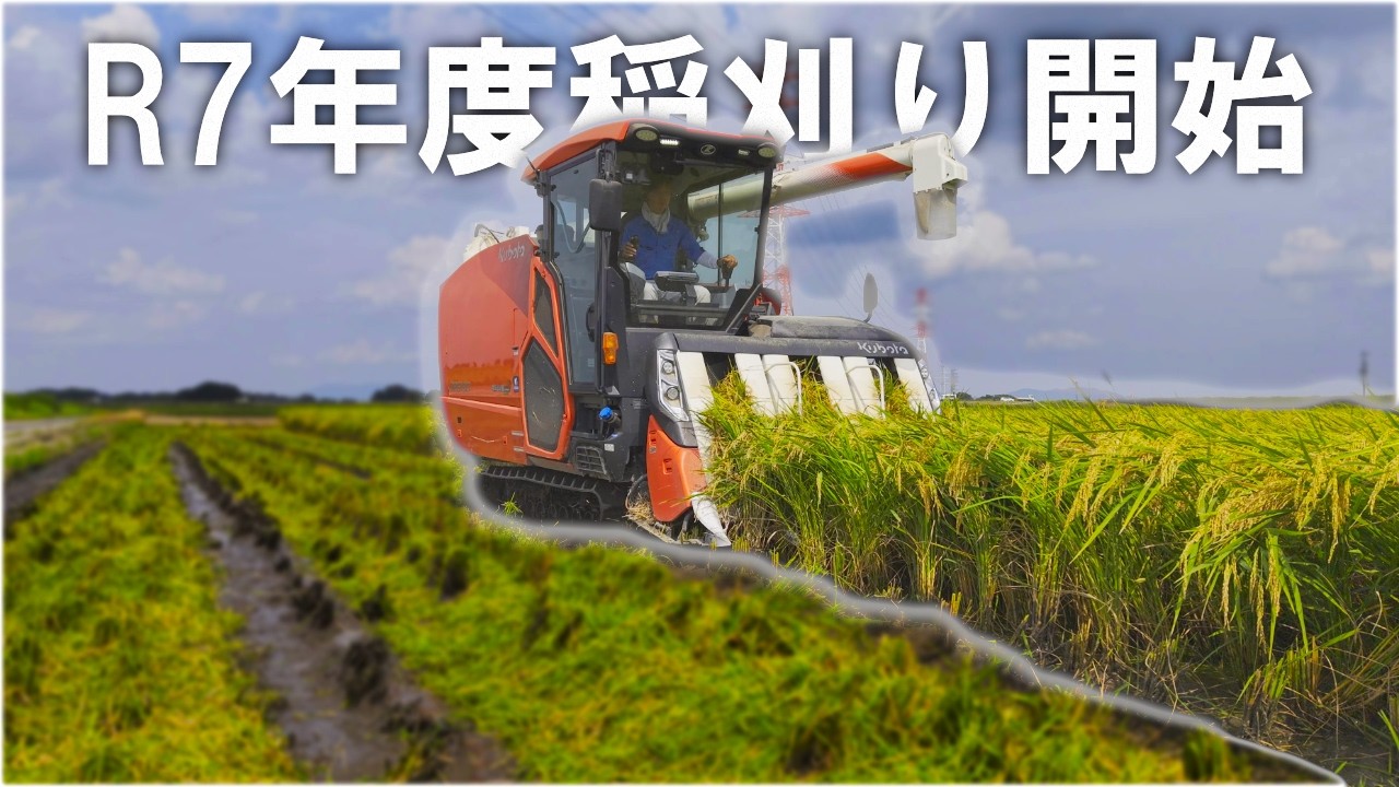 R7年度　稲刈り開始