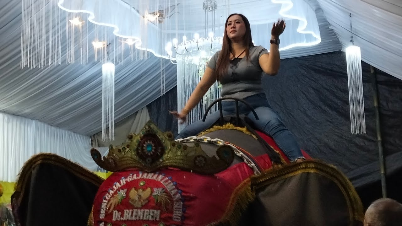 LIVE 🔴 SENI GAJAH 🐘 LIMAN SURO DIDS MBLEMBEM DLM RANGKA TASYAKURAN PERNIKAHAN