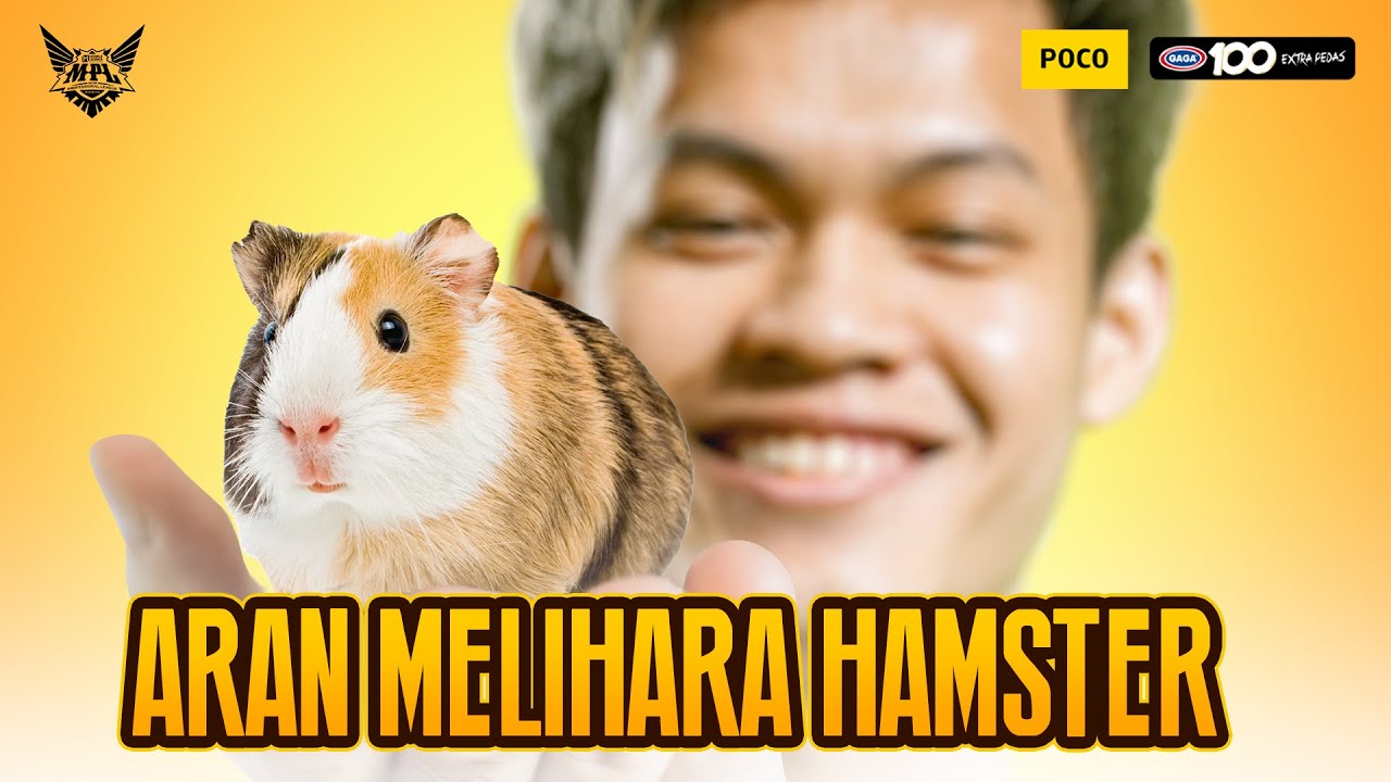 PLAYER AURA TERNYATA PUNYA HAMSTER!! | VLOG MPL S13 WEEK 2