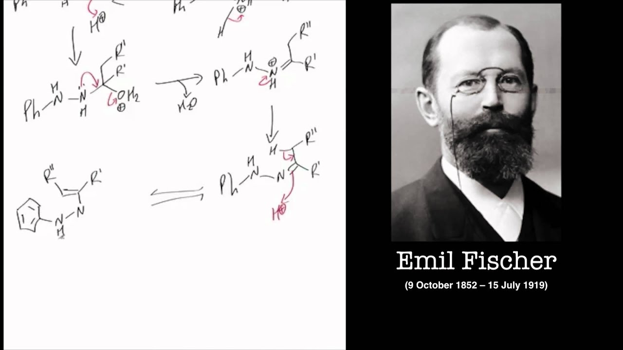The Fischer Indole synthesis: reaction mechanism tutorial