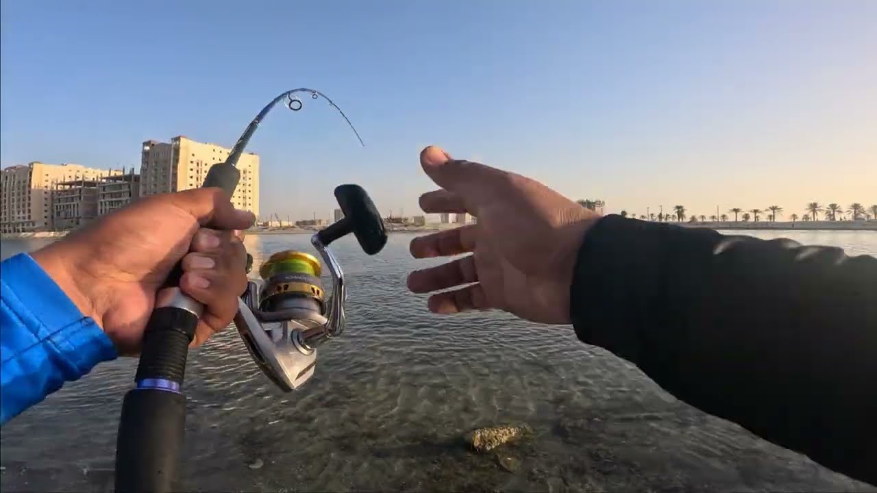 MORNING FISHING BIG CATCH FISH KHOBAR