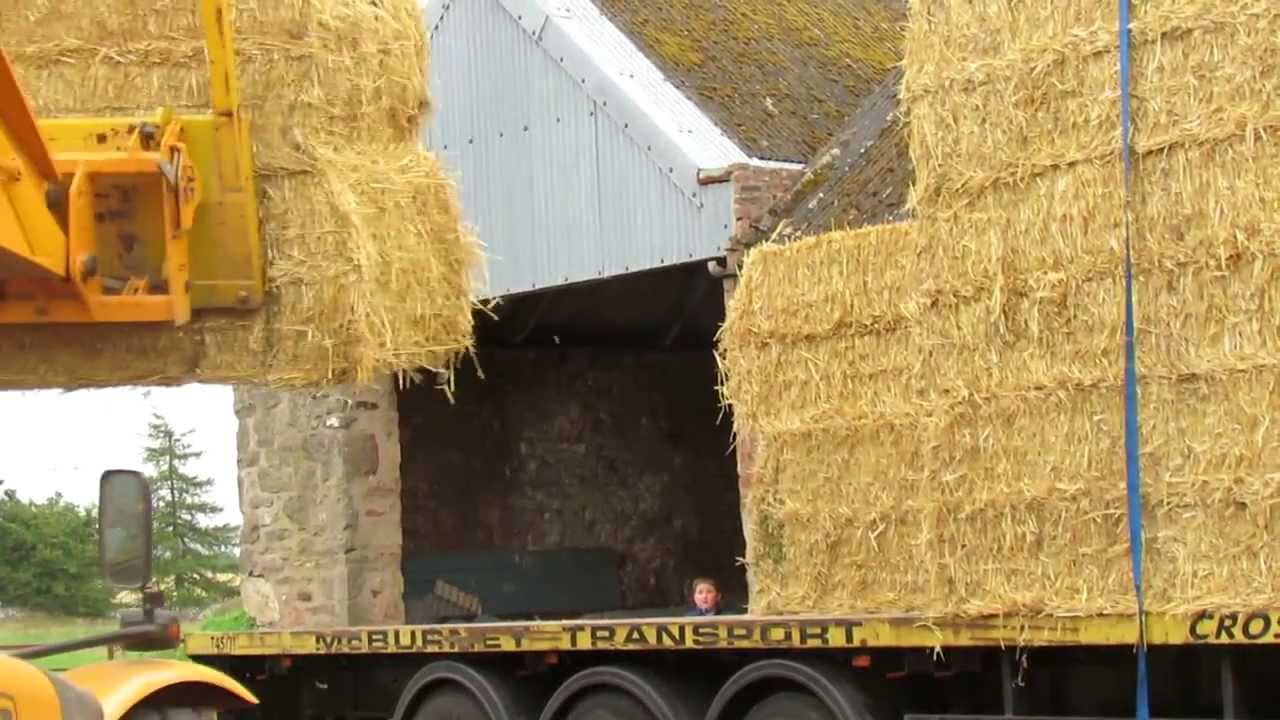 Loading a Lorry with Straw
