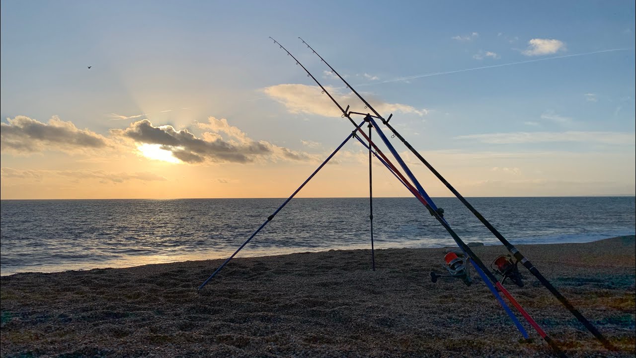 Cod Quest Success 2 - Chesil Beach