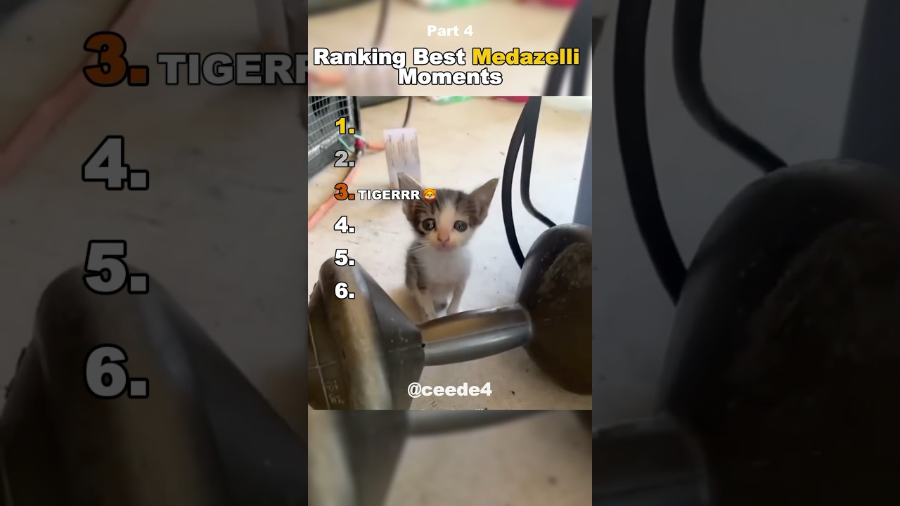Best Medazelli🤣#ranking #medazelli #tiktok