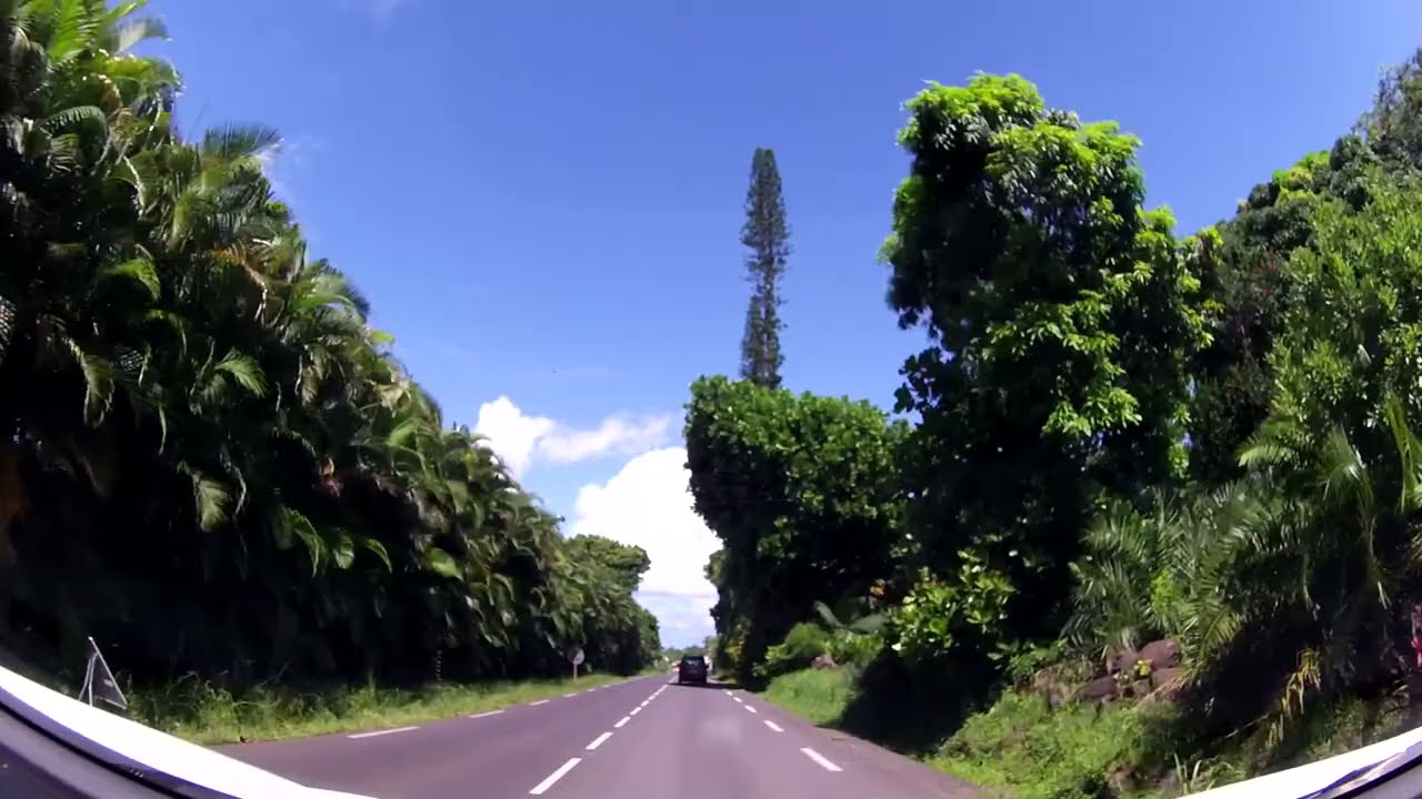 Ile de la Réunion,Sainte Rose,part 3