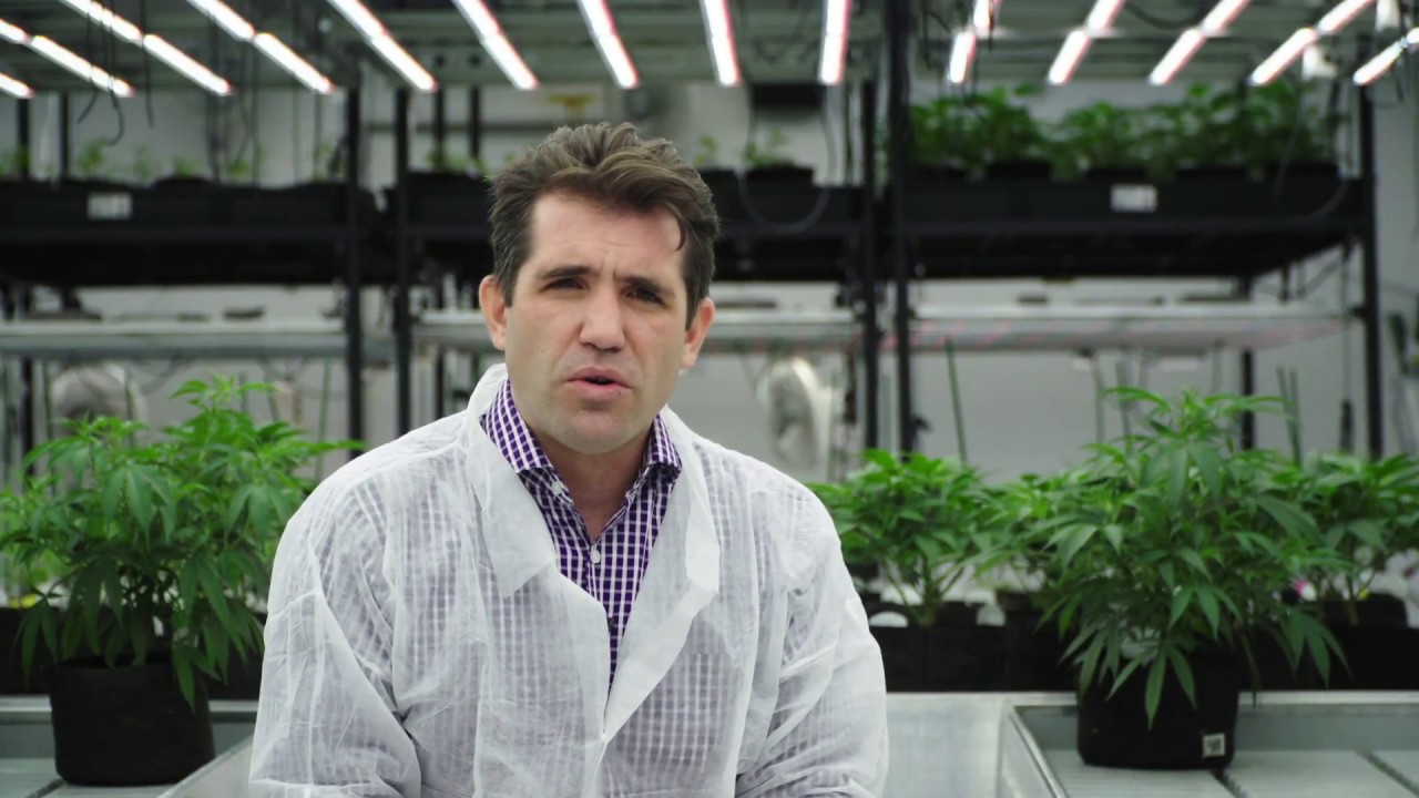 Meet ProGrowTech: LEDs for the Future of Horticulture