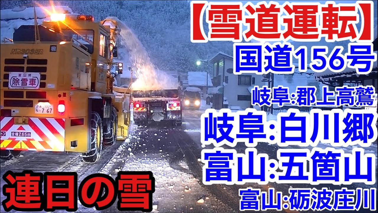 【雪道運転】国道156号は連日の雪！岐阜:郡上高鷲→高山荘川→白川郷→富山:五箇山→砺波庄川20251227