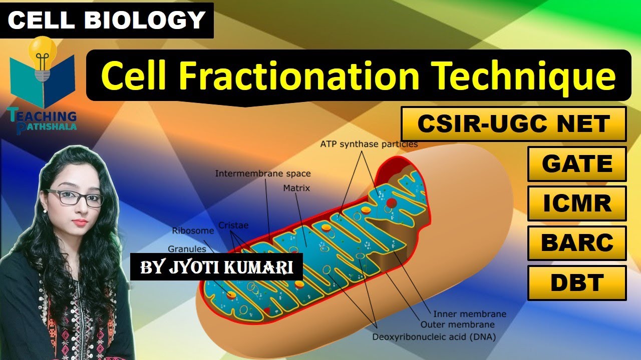 CELL FRACTIONATION TECHNIQUE || CELL BIOLOGY ||CSIR NET|