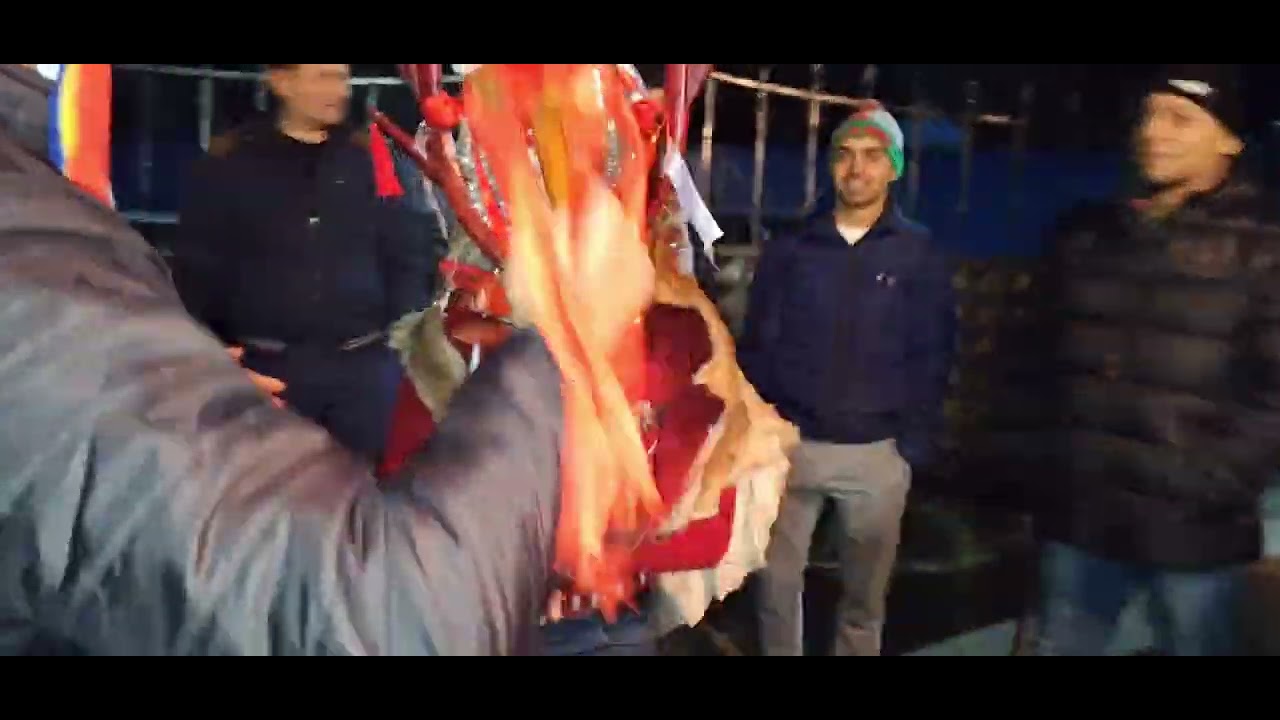 obiceiuri de anul nou, Humosu județul Iași (cerbul)