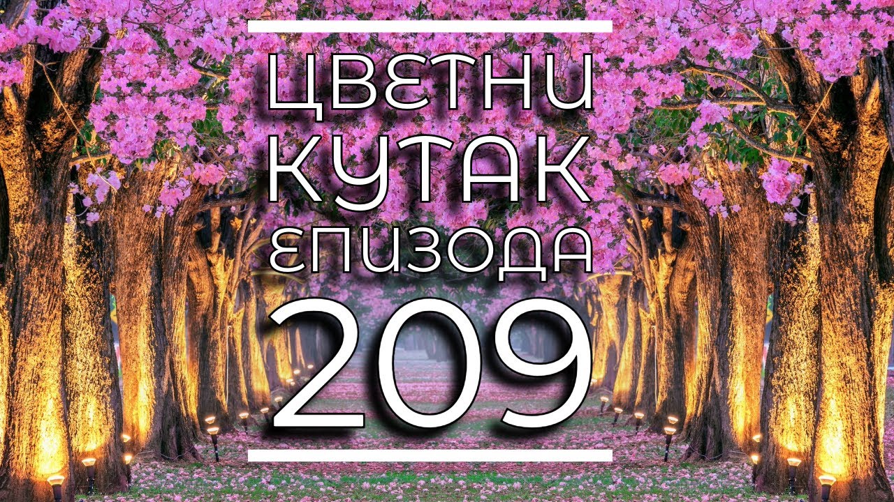 Cvetni kutak ep. 209 09.11.2023. Sadnja magnolije, Garden centar „Pavlo’s“, stipa, NP 