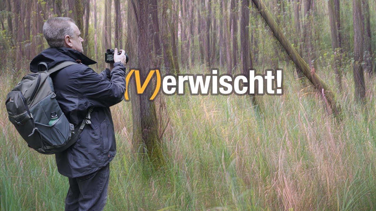 ICM Fotografie im Wald: Überraschend cool!
