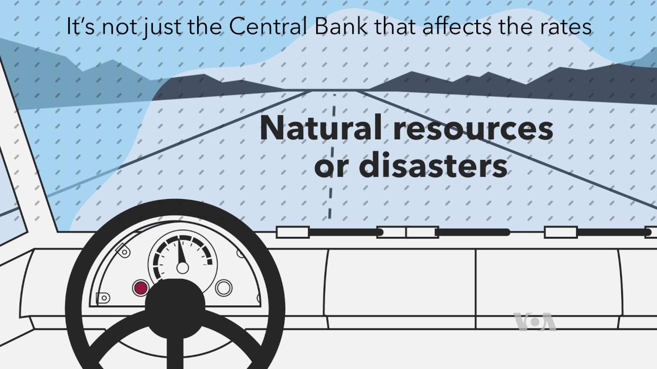 Explainer: What is the Central Bank Interest Rate?