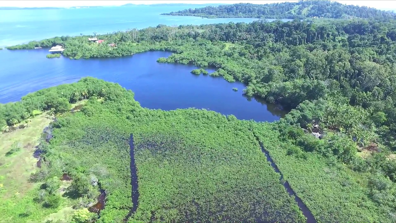 Coral Coast Cristobal from a drone
