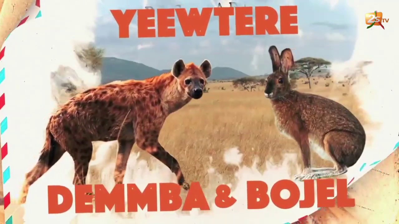YEEWTERE DEMMBA & BOJEL - N°2
