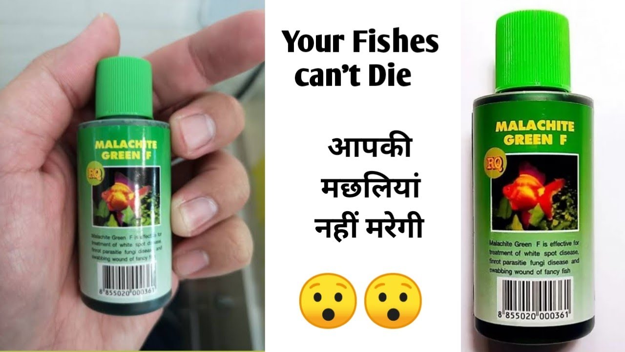 Malachite green f medicine for fishes | malachite green f | Best medicine for fishes | How to use