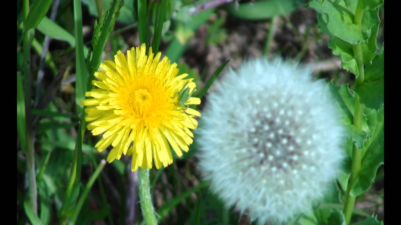 Beautiful Nature Part 3