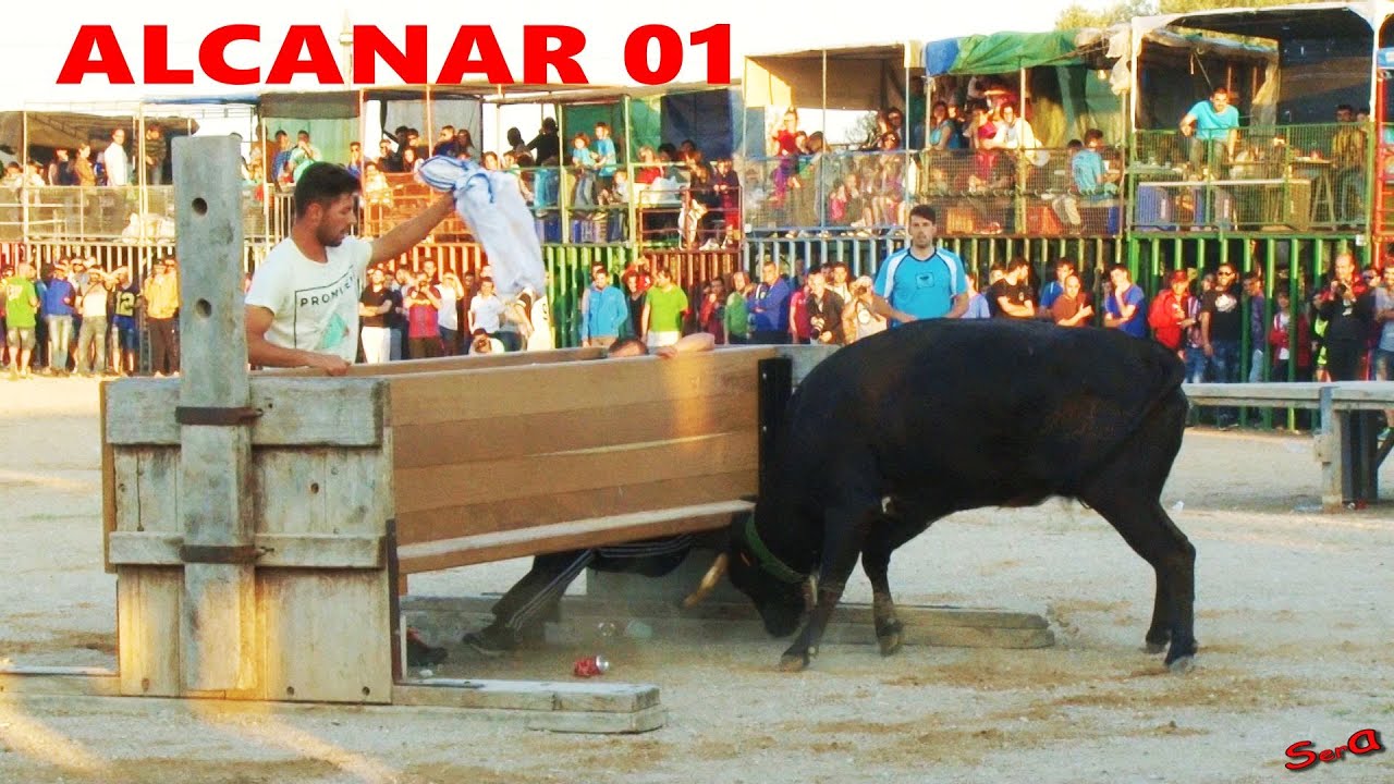 ✅ALCANAR  01◾ INTEGRA Ganaderia  Benavent