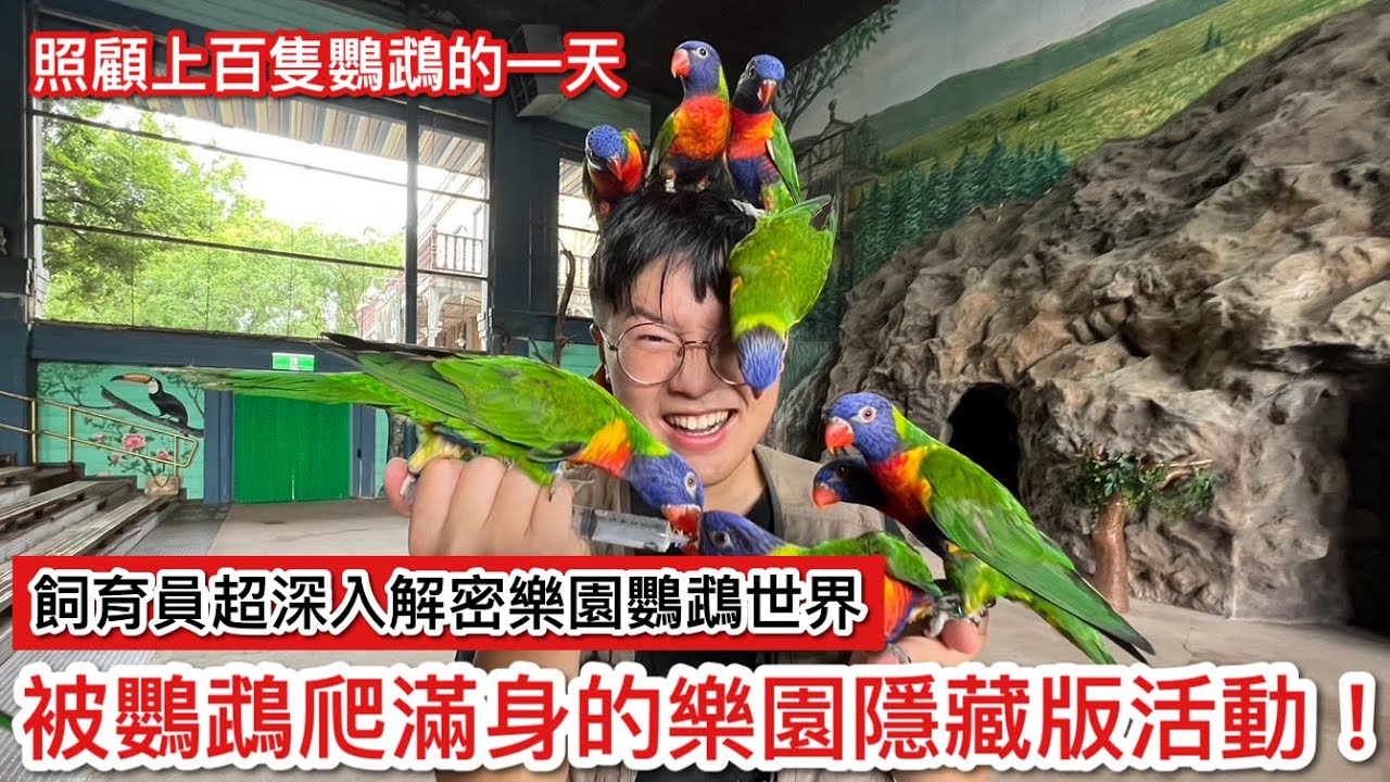 隱藏版！深入探索「六福村」鸚鵡世界！鸚鵡做了什麼事竟讓飼育員超崩潰？「飛鳥探索」能被鸚鵡爬滿全身超幸福！【鸚鵡小木屋】